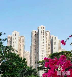 177539117533a73899-842a-4014-9efc-0fe525c95f91.jpeg 錦龍苑 龍悅閣 (A座) - 28NTS – 香港北部都會區