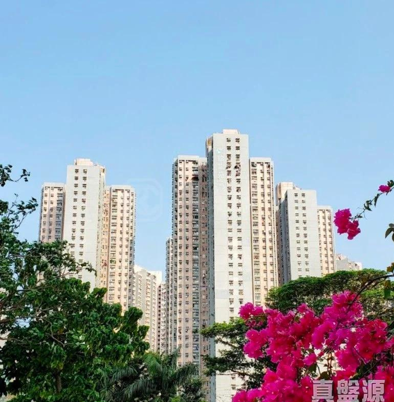 錦龍苑 龍悅閣 (A座) - 28NTS – 香港北部都會區