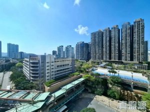 17757235264743960f-d023-4f39-a82a-17a23543b125.jpeg 映灣園 1期 賞濤軒 5座 - 28NTS – 香港北部都會區