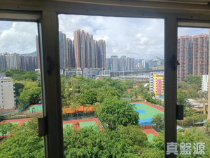 青怡花園 1座 - 28NTS – 香港北部都會區