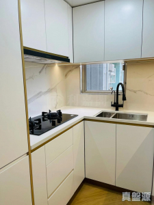 17757246032de31f00-5a50-434a-99b5-009a7baa2a8b.jpeg 青宏苑 宏裕閣 (B座) - 28NTS – 香港北部都會區