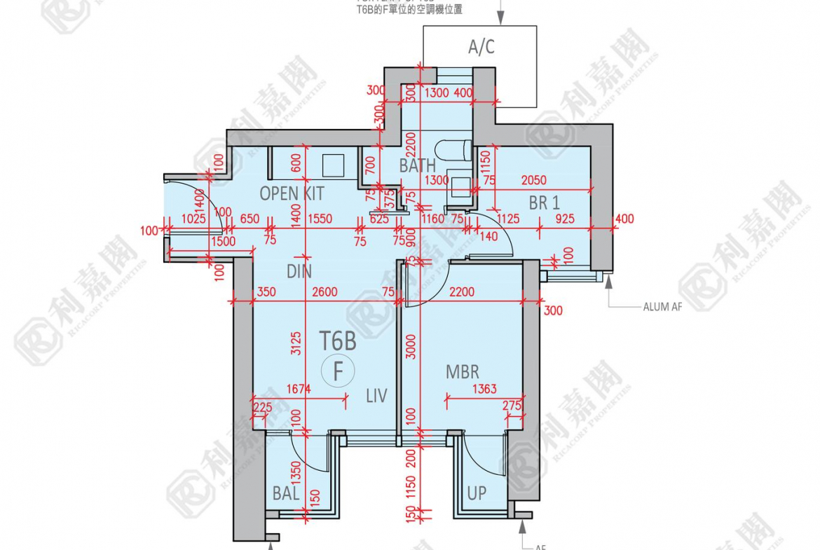 柏傲莊 2期 6座 (6B) - 28NTS – 香港北部都會區