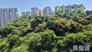 薈蕎 2翼 - 28NTS – 香港北部都會區