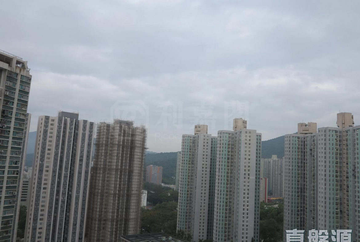 富善邨 善鄰樓 (2座) - 28NTS – 香港北部都會區