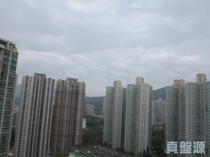 富善邨 善鄰樓 (2座) - 28NTS – 香港北部都會區
