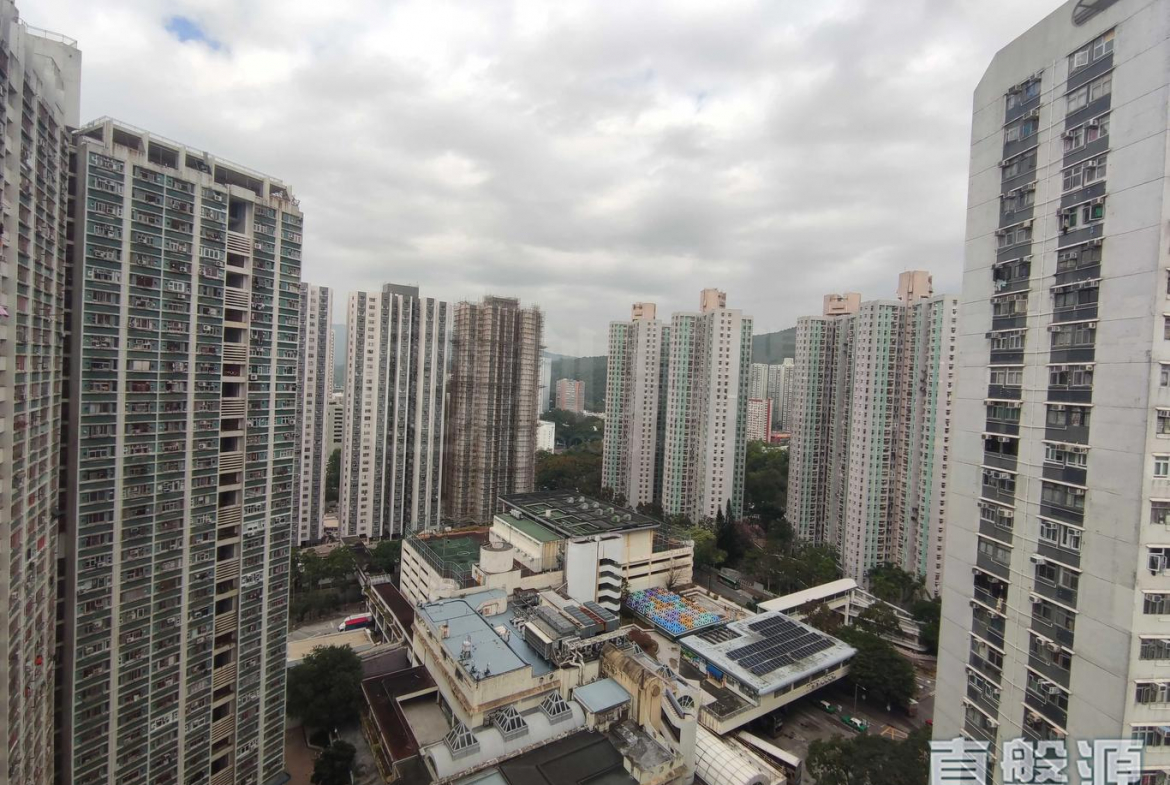 富善邨 善鄰樓 (2座) - 28NTS – 香港北部都會區
