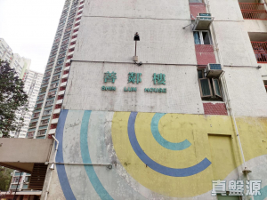 富善邨 善鄰樓 (2座) - 28NTS – 香港北部都會區