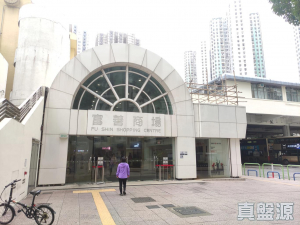 富善邨 善鄰樓 (2座) - 28NTS – 香港北部都會區