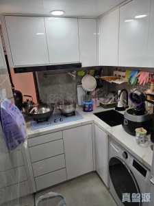 1775733343427fd12f-6a59-4f78-9ae5-82b82ad95f31.jpeg 新港城 4期 F座 - 28NTS – 香港北部都會區