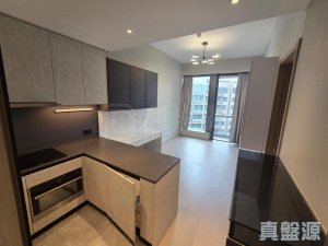 1775734075daaac4f1-94d5-4621-ad32-6912c6591e45.jpeg 朗濤 7B座 - 28NTS – 香港北部都會區