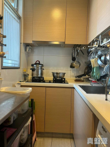 1775735181fe165e9a-d5d2-4c67-a5c0-ced42410a5c9.jpeg 綠怡雅苑 1座 - 28NTS – 香港北部都會區