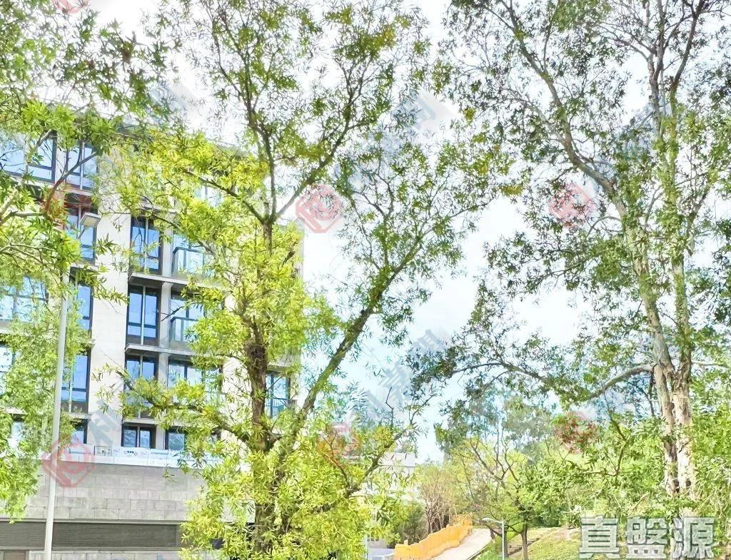 嘉豐花園 7座 - 28NTS – 香港北部都會區