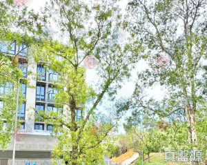 嘉豐花園 7座 - 28NTS – 香港北部都會區