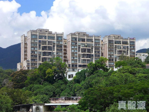 嘉御山 1座 - 28NTS – 香港北部都會區