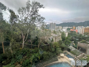 嘉御山 1座 - 28NTS – 香港北部都會區