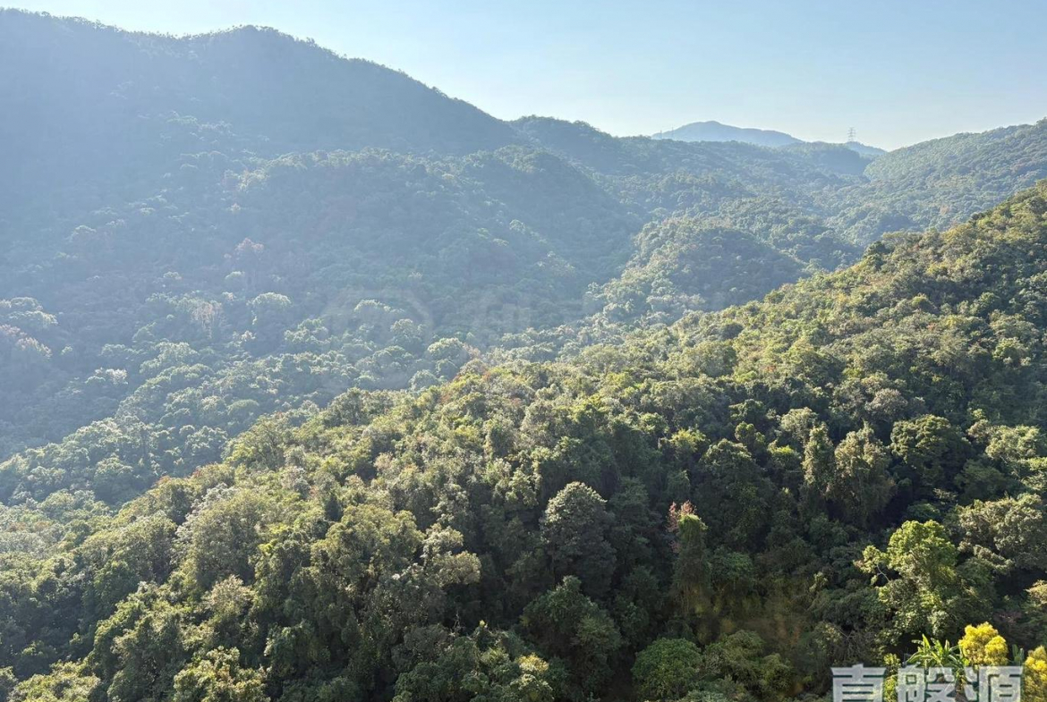 玖瓏山 傲瓏閣 第1座 - 28NTS – 香港北部都會區
