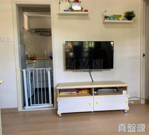 177573998160c11aa1-3460-4f82-893f-de677997f34a.jpeg 偉華中心 4座 - 28NTS – 香港北部都會區