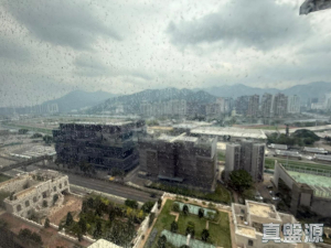 1775740179af385526-8485-4ce3-93a8-de0036205613.jpeg 銀禧花園 銀禧閣 - 28NTS – 香港北部都會區