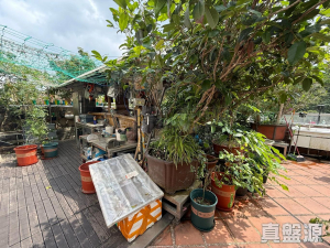 承峰 - 28NTS – 香港北部都會區
