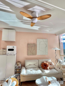 17757435237ae3e457-d077-4cac-a894-74e068331c62.jpeg 碧湖花園 3座 - 28NTS – 香港北部都會區