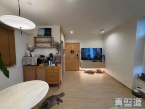 1775743911fa41e587-d52f-4c05-94c7-41fded369515.jpeg 新達廣場 1座 - 28NTS – 香港北部都會區