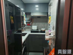 177574403531d87efa-c06e-4eb5-b7aa-9852cabf4eb4.jpeg 牽晴間 3座 - 28NTS – 香港北部都會區