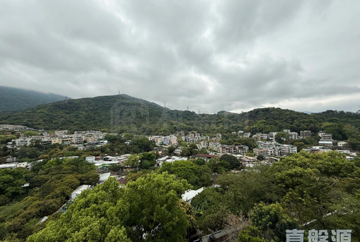 天鑽 19座 - 28NTS – 香港北部都會區