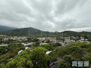 天鑽 19座 - 28NTS – 香港北部都會區