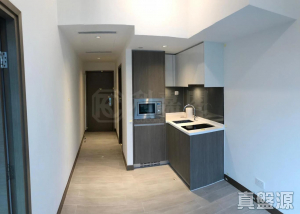 1775746599616ae9d2-9fe0-486f-9f81-ec83b07c2d0e.jpeg 珀玥 - 28NTS – 香港北部都會區