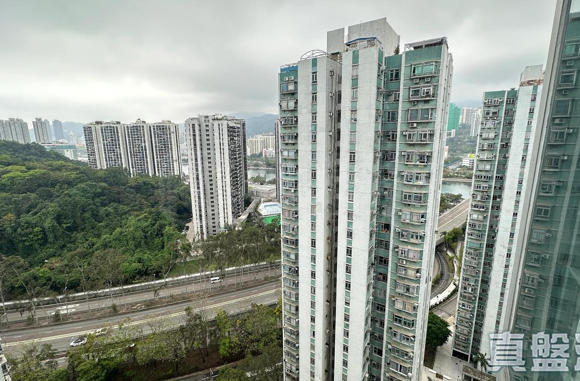 沙田第一城 5期 46座 - 28NTS – 香港北部都會區