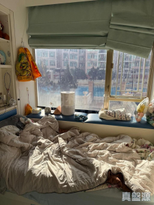 17757471322bb46dd5-84e9-4dc7-8df8-4d1815455ce3.jpeg 新峰花園 1期 10座 - 28NTS – 香港北部都會區