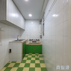 1775747222599378d8-d4ca-4fda-86df-f13c13f52fba.jpeg 沙田第一城 1期 10座 - 28NTS – 香港北部都會區