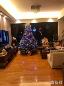 1775747464389a7a0a-08f4-4610-9449-7b3c28edba2f.jpeg 滌濤山 10座 - 28NTS – 香港北部都會區