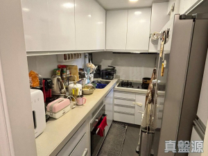 大埔寶馬山 5座 - 28NTS – 香港北部都會區