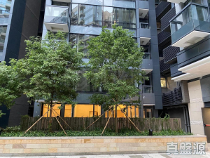 177574875522a2cd65-b5aa-4707-9adc-7e03115bb0a1.jpeg 朗濤 7A座 - 28NTS – 香港北部都會區