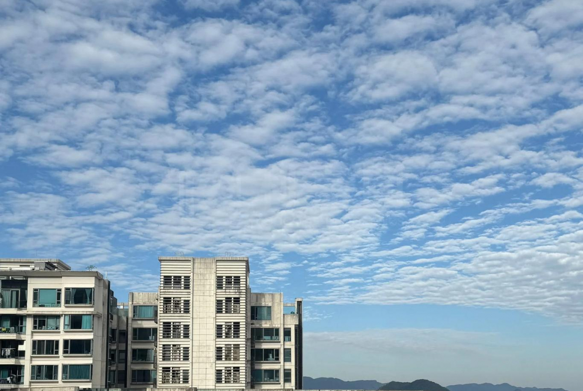 天賦海灣 2期 溋玥 16座 - 28NTS – 香港北部都會區
