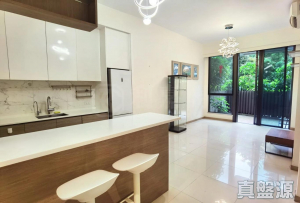 177574905648727eec-354d-45c6-9083-faf9752cd0f0.jpeg 玖瓏山 傲瓏閣 第1座 - 28NTS – 香港北部都會區