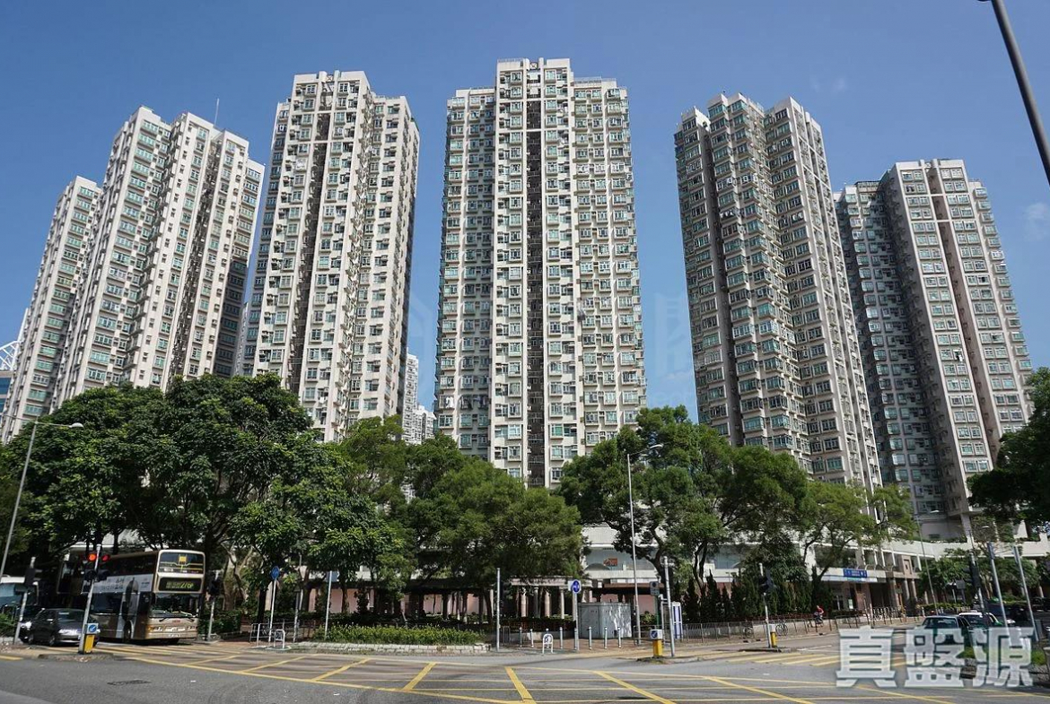 上水中心 6座 - 28NTS – 香港北部都會區