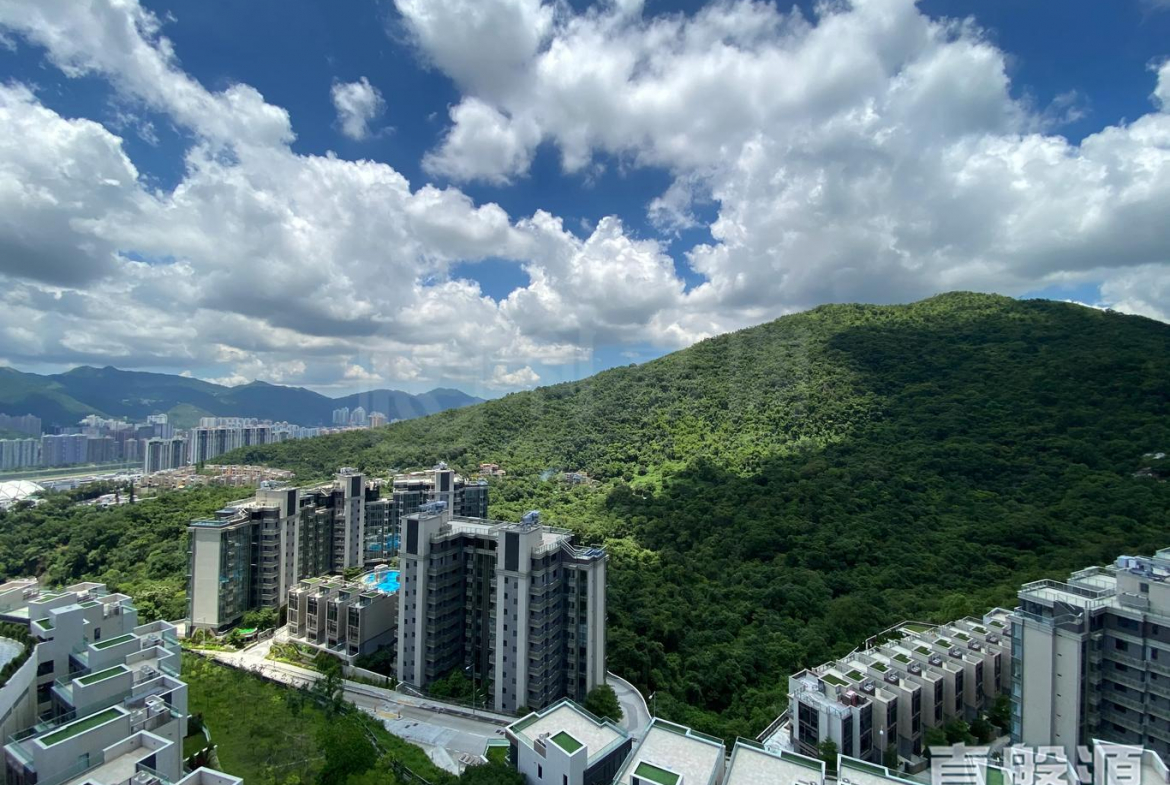 駿嶺薈 2座 - 28NTS – 香港北部都會區