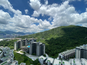 17757495682e6316e8-7932-4d10-a71c-f177f4c4158c.jpeg 駿嶺薈 2座 - 28NTS – 香港北部都會區