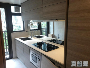 昇薈 10座 - 28NTS – 香港北部都會區
