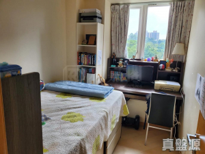 17760681496ba7c1c2-40f9-448f-aed9-662766e2779b.jpeg 星堤 10座 - 28NTS – 香港北部都會區