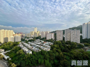 綠悠雅苑 1座 - 28NTS – 香港北部都會區