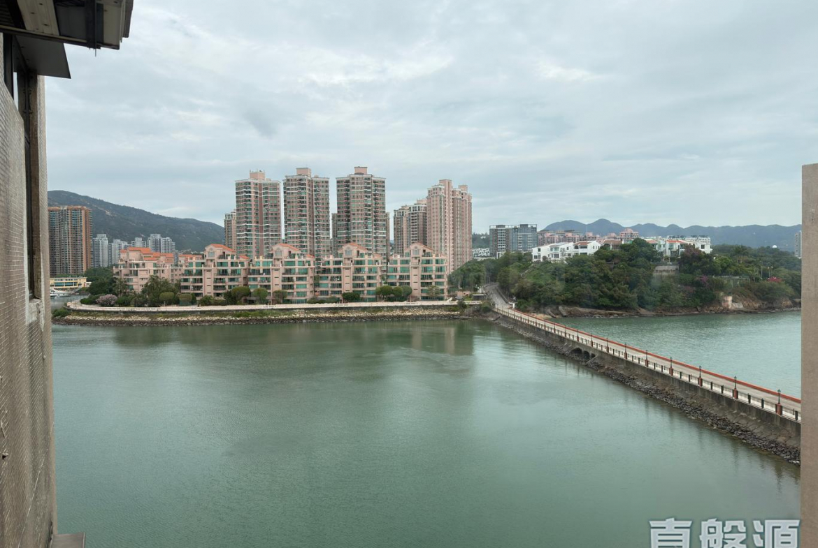龍珠島花園 8座 - 28NTS – 香港北部都會區