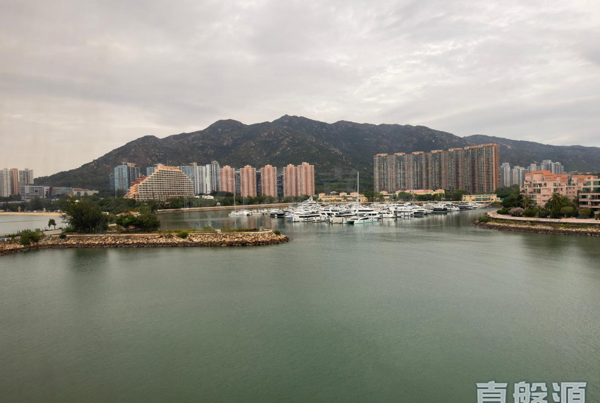 龍珠島花園 8座 - 28NTS – 香港北部都會區