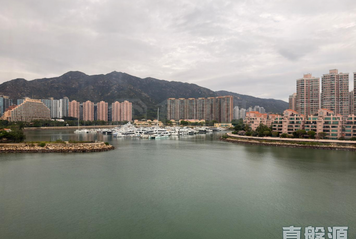 龍珠島花園 8座 - 28NTS – 香港北部都會區