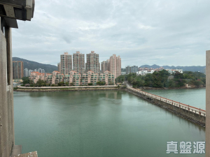 1776072324abf992e3-b7f7-4ca8-8230-50fdd862ca95.jpeg 龍珠島花園 8座 - 28NTS – 香港北部都會區
