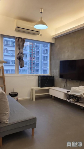 葵星中心 B座 - 28NTS – 香港北部都會區