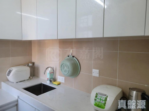 青俊苑 A座 (俊軒閣) - 28NTS – 香港北部都會區