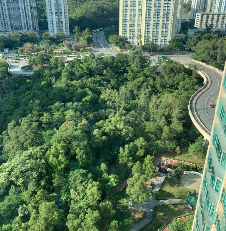藍澄灣 1座 - 28NTS – 香港北部都會區